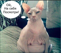 Снимок экрана 2014-06-30 в 12.59.19.png