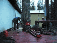 1403989145_355155541.gif