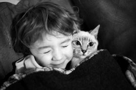 493555-R3L8T8D-600-780x520-25.jpg
