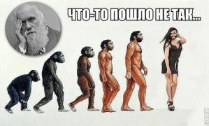 ar3H7qDHTN4.jpg