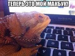dZ7YUcQttCM.jpg