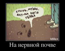 1402372401_015.jpg