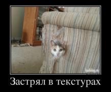 1403580324_020.jpg