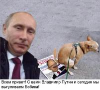 u1Bl3vT9ir4.jpg