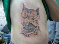 bad-tattoo-pictures-28.jpg