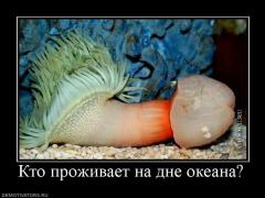 797702_kto-prozhivaet-na-dne-okeana.jpg