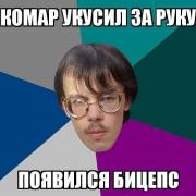 КОМАР УКУСИЛ БИЦЕПС.jpg