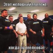 МЕЛКОВАТ.jpeg