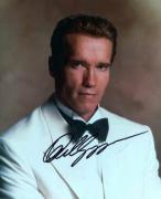 kinopoisk.ru-Arnold-Schwarzenegger-19001.jpg