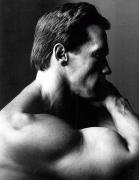 kinopoisk.ru-Arnold-Schwarzenegger-501657.jpg