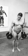 kinopoisk.ru-Arnold-Schwarzenegger-622968.jpg