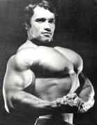 Arnold1.jpg