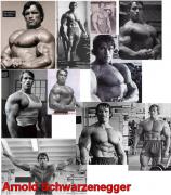 Arnold15.jpg