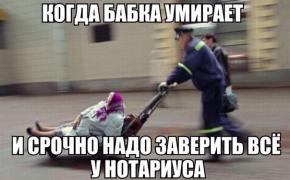 wjic9VD9NgY.jpg