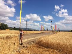 IMG-20160611-WA0040.jpg