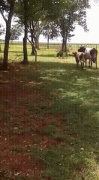 1466317106115814950.gif