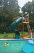1467138404127937252.gif