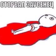 ОТОРВАЛ ЗАУСЕНЕЦ.jpg