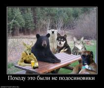 НЕ ПОДОСИНОВИКИ.jpg