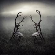 НОВЫЙ ДИЗАЙН СТУЛЬЕВ.jpg