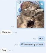 IMG_20160614_012239.jpg