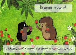 IMG_20160614_012115.jpg