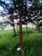 IMG_20160604_180234_005.jpg