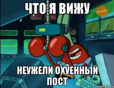 параллельная-вселенная-альф-коты-живность-1090027.jpeg