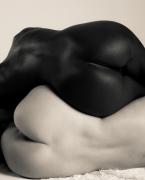 modelos-ying-yang.jpg