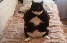 image.jpeg