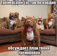 image.jpeg