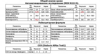 Л.А.-1.jpg