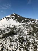 IMG_2947.jpg