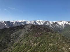 IMG_2957.jpg