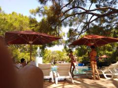 IMG_20170911_145901.jpg