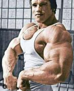 Arnold2.jpg