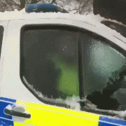 1554504199_gifs_10.gif