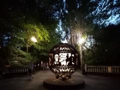 IMG_20190531_204041.jpg
