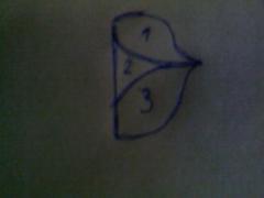 Форма грудной.jpg