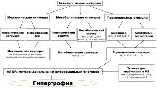 y4zNfzXRVKE.jpg