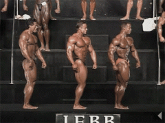 tumblr_nb5lsmLRcr1qz7b12o1_500.gif