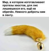 1592322757167146521.jpg