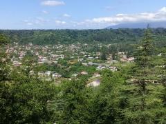 IMG_20200612_091535.jpg