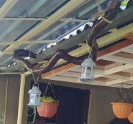 IMG_20200610_175113.jpg