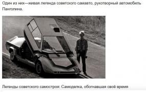панголина.JPG