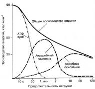 e5a6cce5.jpg