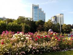 IMG_20200613_173955.jpg