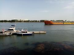 IMG_20200610_175714.jpg