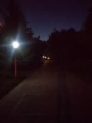 IMG_20210616_000102.jpg