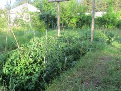 IMG_3759.JPG